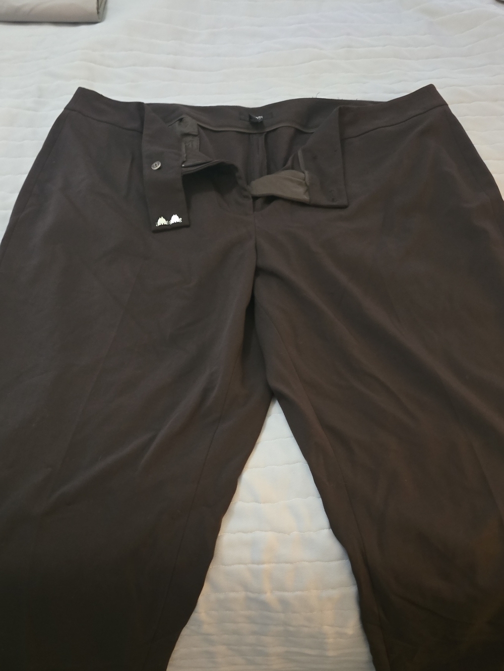 Alfani Women's Boot-Cut Pants in Dark Brown